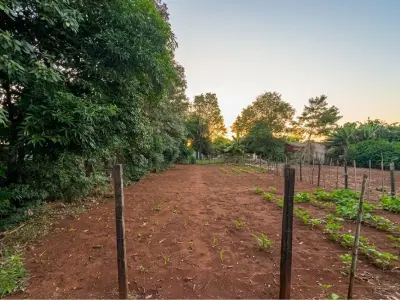 Terreno en venta en Km 5 Monday, Presidente Franco 3