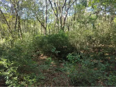 Terreno à venda em Kokue Guasu, Areguá 3