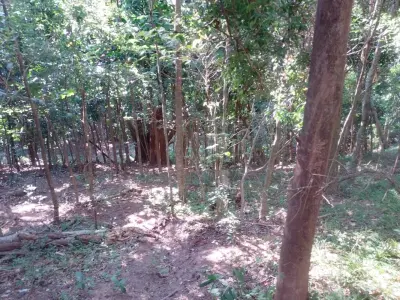 Land for sale in La Colmena, Paraguarí 2