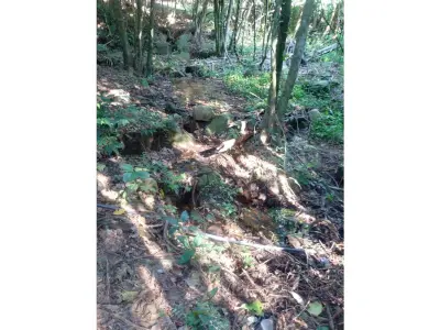 Land for sale in La Colmena, Paraguarí 3