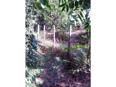 Land for sale in La Colmena, Paraguarí 4