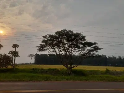 Terreno en venta en La Paz, Itapúa 3