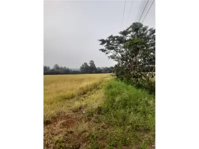 Terreno en venta en La Paz, Itapúa 4