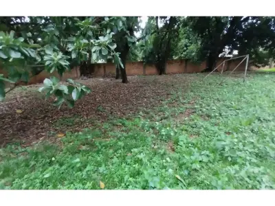 Terreno à venda em Lambaré, Central 4