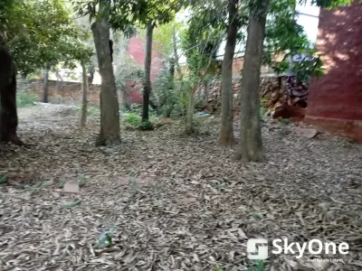 Land for Sale in Lambaré, Valle Apua, 414 m² 3