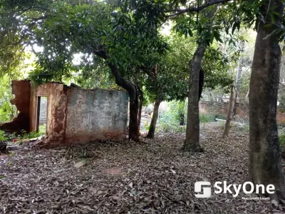 Land for Sale in Lambaré, Valle Apua, 414 m² 4
