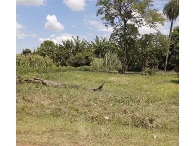 Terreno à venda em Las Lomas, San Juan del Paraná 3