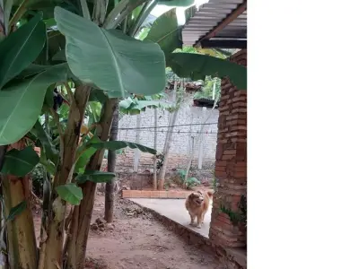 Terreno à venda em Las Mercedes, Areguá 3