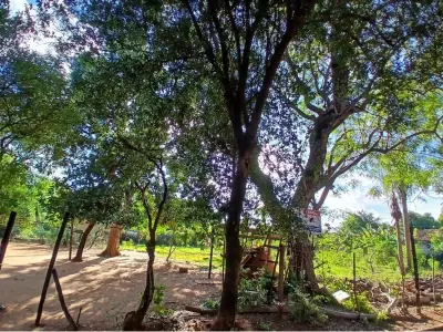 Terreno à venda em Laurelty, Luque 3