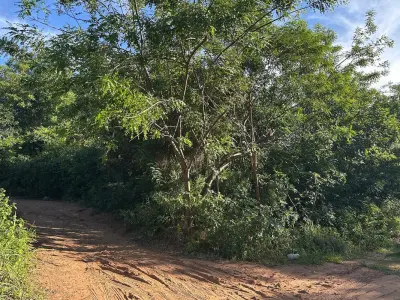 Terreno à venda em Limpio, Central 4