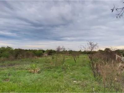 Terreno à venda em Limpio, Central 2