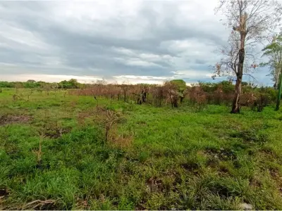 Terreno à venda em Limpio, Central 4