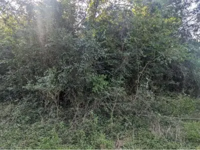 Terreno en venta en Limpio, Central 3