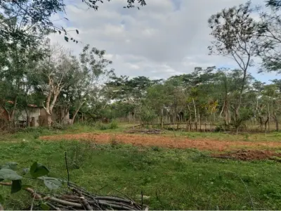 Terreno à venda em Limpio, Central 4
