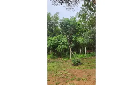 Terreno en venta en Limpio – Fracción Campo Alto 3