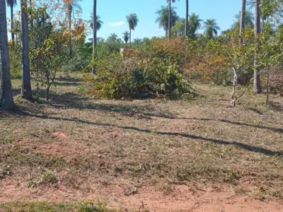 Land for sale in Loma Grande, Cordillera 3