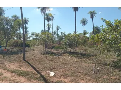 Land for sale in Loma Grande, Cordillera 4