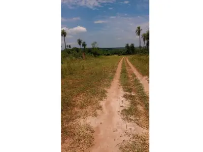 Land for sale in Loma Grande, Cordillera 3