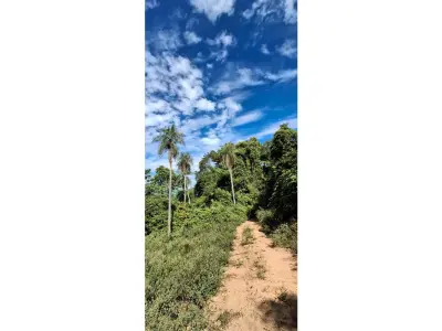 Terreno en venta en Loma Grande, Cordillera 4