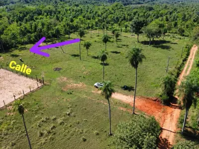 Land for sale in Loma Grande, Cordillera 2