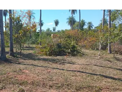 Terreno en venta en Loma Grande, Cordillera 3