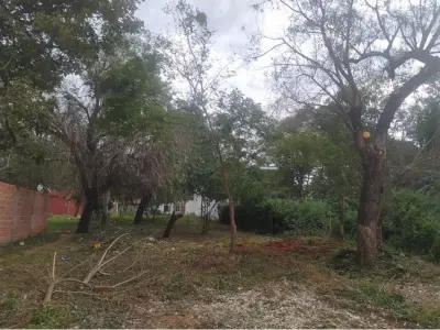 Terreno à venda em Loma Merlo, Luque 2