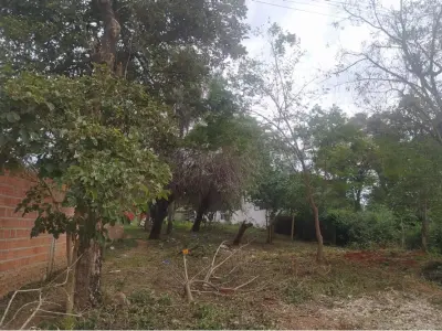 Terreno à venda em Loma Merlo, Luque 4