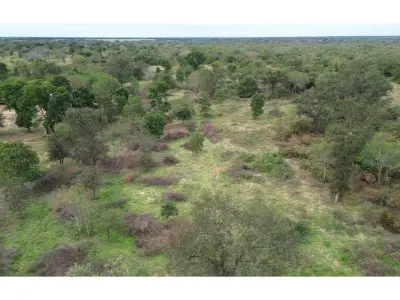Terreno en venta en Loma Plata, Boquerón 4