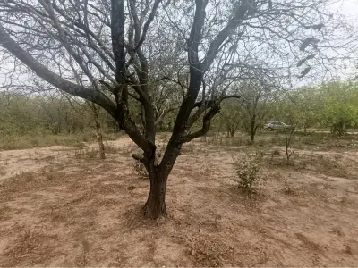 Terreno en venta en Loma Plata, Boquerón 5