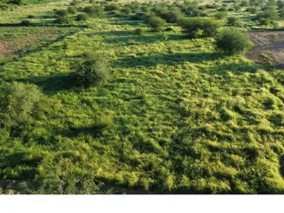 Terreno à venda em Loma Plata, Boquerón 4