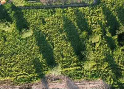 Terreno à venda em Loma Plata, Boquerón 5
