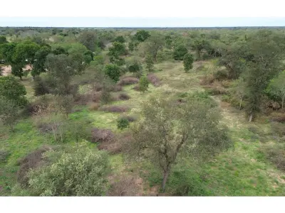 Terreno en venta en Loteamiento El Sendero, Loma Plata 3