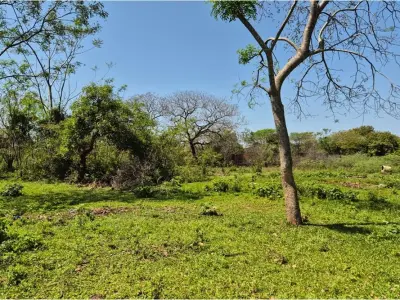 Terreno à venda em Luque, 3.492 m² 3