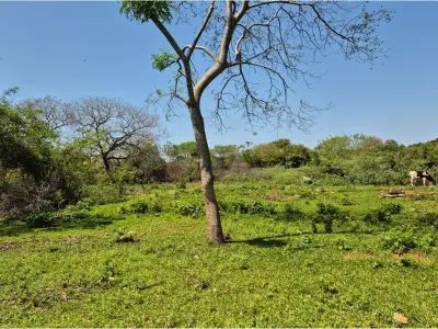 Terreno à venda em Luque, 3.492 m² 4