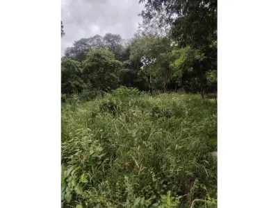 Terreno à venda em Luque, Central 3