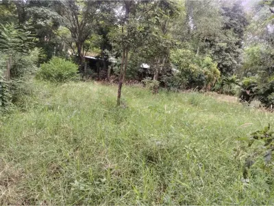 Terreno à venda em Luque, Central 4