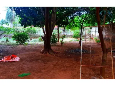 Land for sale in Luque Centro for development 3