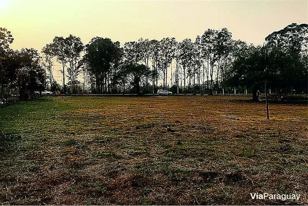 Terreno en venta en Luque sobre ruta a San Bernardino