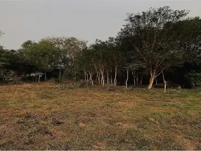 Terreno en venta en Luque sobre ruta a San Bernardino 3