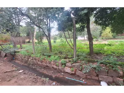 Terreno à venda em Luque, região Campo Grande 4