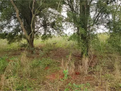 Terreno en venta en Maracaná, Curuguaty - 6.750 m² 3