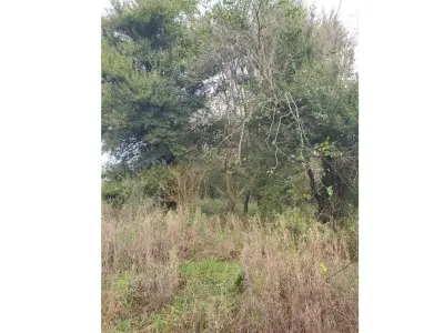 Terreno en venta en Maracaná, Curuguaty - 6.750 m² 4