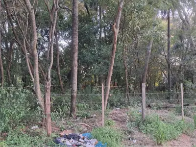 Terreno à venda em María Auxiliadora, Mariano Roque Alonso 3