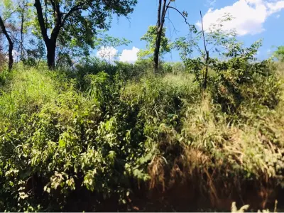 Terreno à venda em Mariano Roque Alonso, Remanso 4