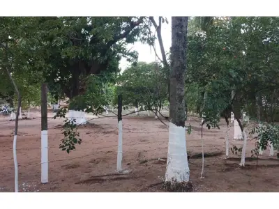 Terreno à venda em Mariano Roque Alonso, 1.461 m² 3