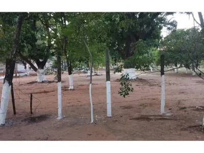 Terreno à venda em Mariano Roque Alonso, 1.461 m² 4