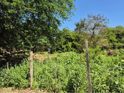 Terreno à venda em Mariano Roque Alonso, Central 2