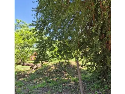 Terreno à venda em Mariano Roque Alonso, Central 3