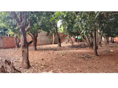 Land for sale in Marin Ka'aguy, Luque 3