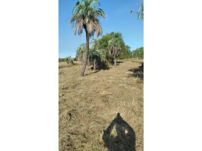 Terreno à venda em Mayor Martínez, Ñeembucú 2